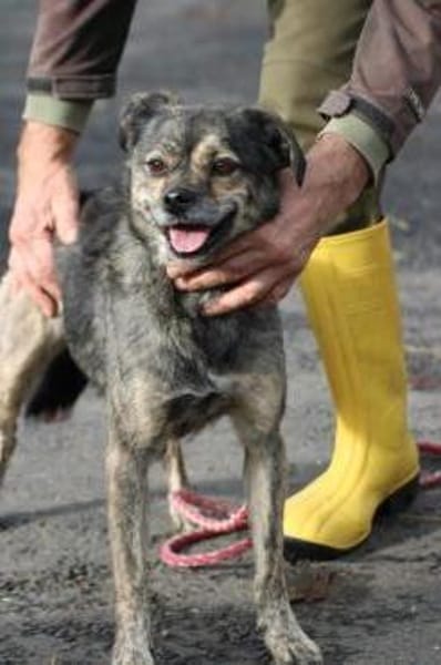 Babbit - verspielt u. aufgeweckt