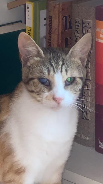 Sissy & Max Hundefreunde