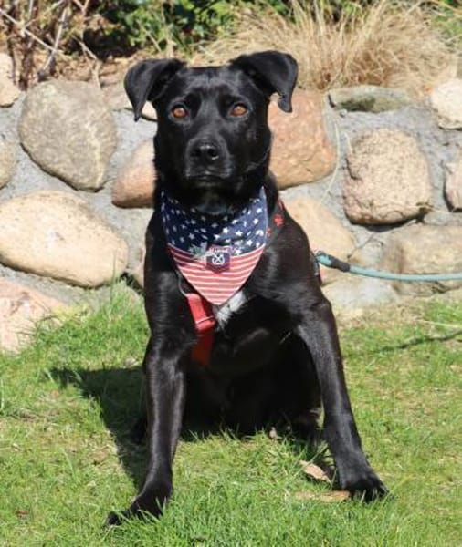 Bex - 46 cm sens. Schatz su.liebev.Platz