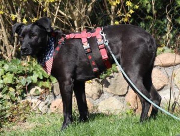 Bex - 46 cm sens. Schatz su.liebev.Platz