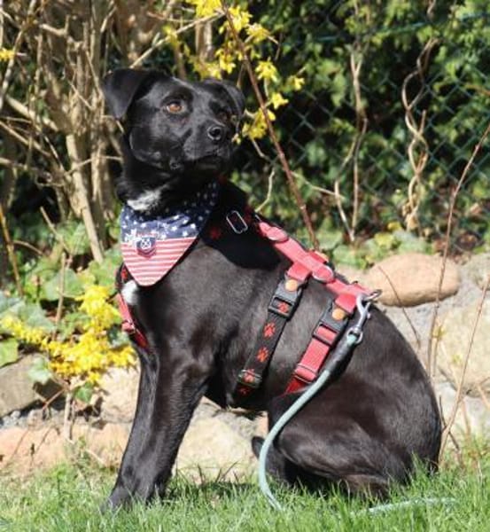 Bex - 46 cm sens. Schatz su.liebev.Platz