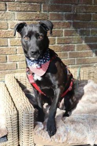 Bex - 46 cm sens. Schatz su.liebev.Platz