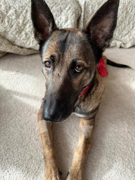 Charmante Lenda sucht dich