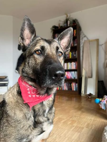 Charmante Lenda sucht dich