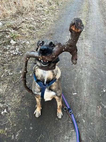 Charmante Lenda sucht dich