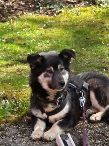 lieber kleiner Jaxx auf PS in 90475