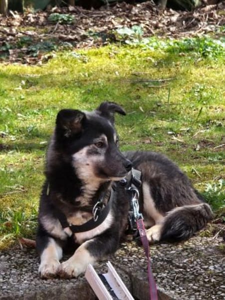 lieber kleiner Jaxx auf PS in 90475