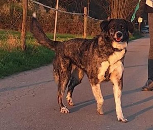 Lea sucht ihr Zuhause