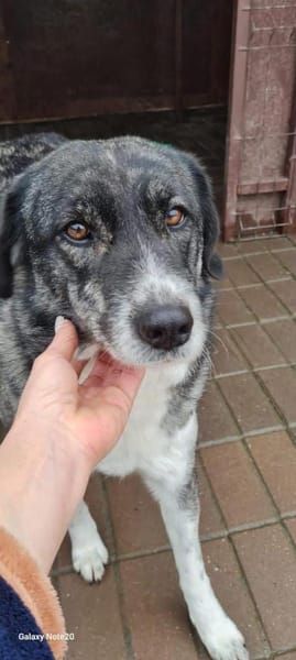 Lea sucht ihr Zuhause