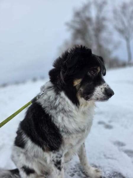 Lina 5 Jahre 38527 Meine