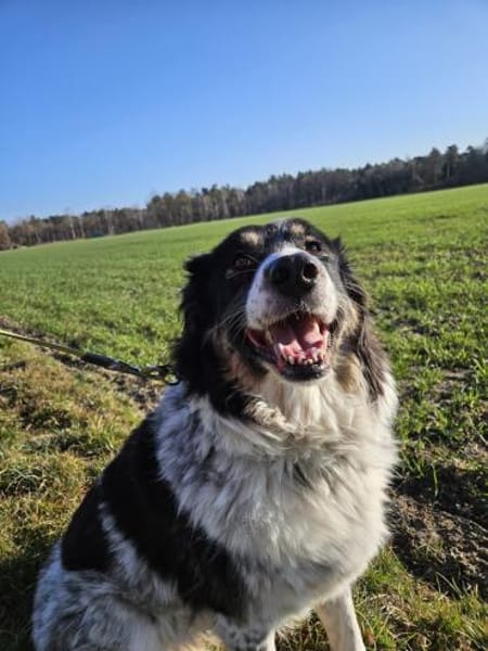 Lina 5 Jahre 38527 Meine