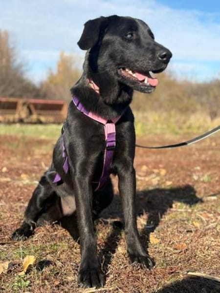 Unsere hübsche Nera sucht ihr Happy End