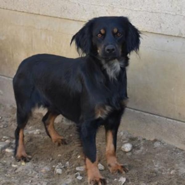 Lona - im Herzen mutig