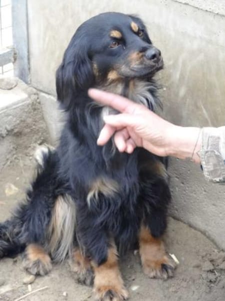 Lona - im Herzen mutig