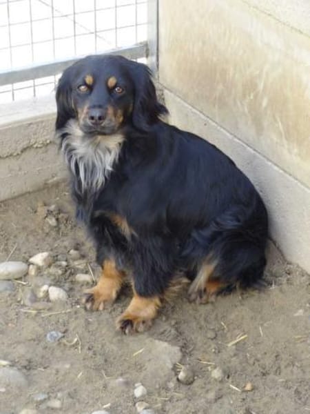 Lona - im Herzen mutig