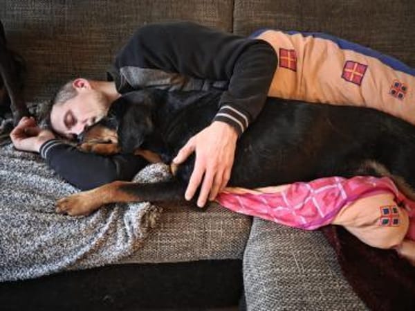 Flynn sucht ein liebevolles Zuhause