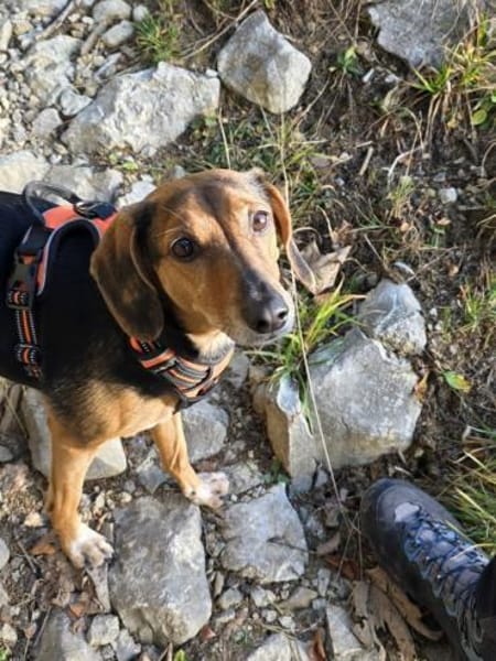 freundliche ältere Luna sucht ...