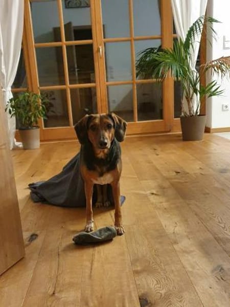 freundliche ältere Luna sucht ...