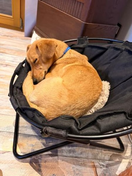 Effy°  in 64546 Mörfelden