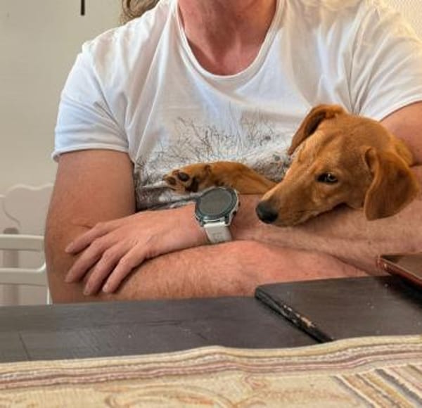 Effy°  in 64546 Mörfelden