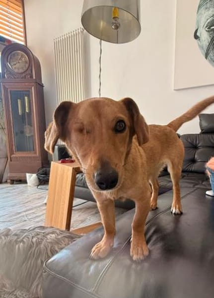 Effy°  in 64546 Mörfelden