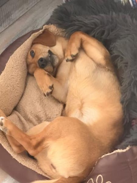 Effy°  in 64546 Mörfelden