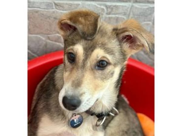 Mayli2 - wartet in 15848 Beeskow