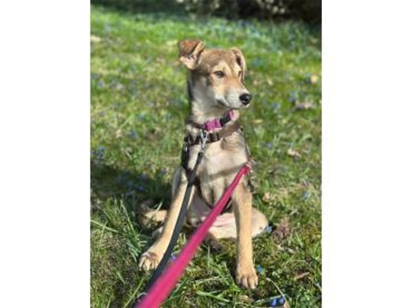 Mayli2 - wartet in 15848 Beeskow