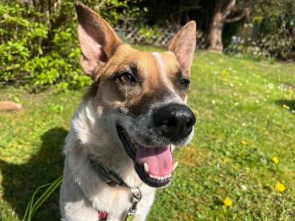 Malibu ist ein zartes Seelchen 🐾