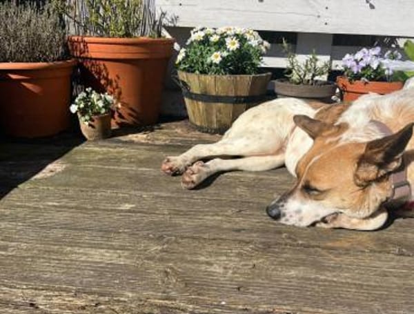 Malibu ist ein zartes Seelchen 🐾