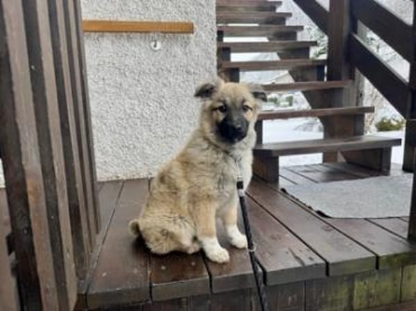 Flora - zuckersüß und lieb