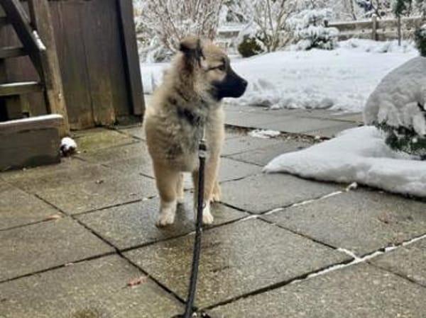 Flora - zuckersüß und lieb