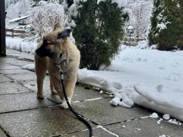 Flora - zuckersüß und lieb