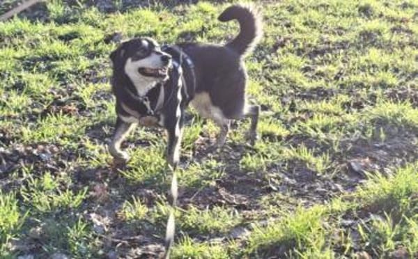 Simba möchte endlich gesehen werden