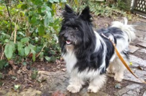 ZEDA - außergewöhnlich liebenswert