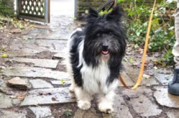 ZEDA - außergewöhnlich liebenswert