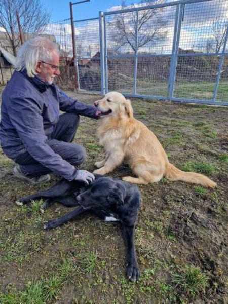 Jonathan Sensibelchen