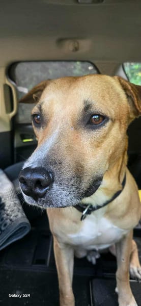 AÏKO la douceur des îles