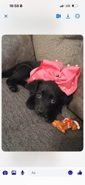 Kleine Bella ganz groß