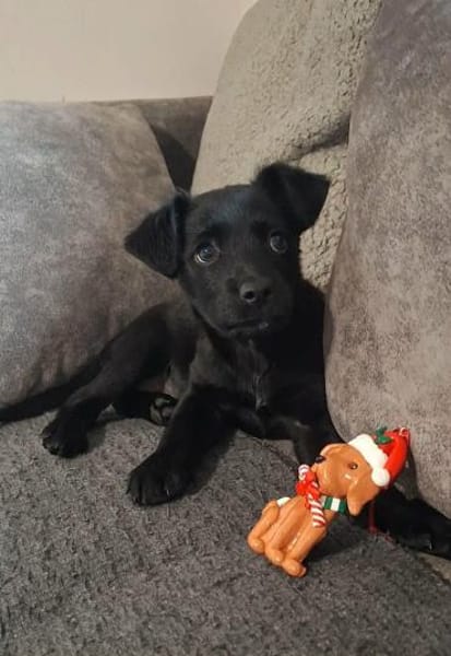 Kleine Bella ganz groß