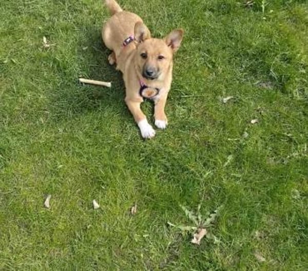 Zauberhafte kleine Marla