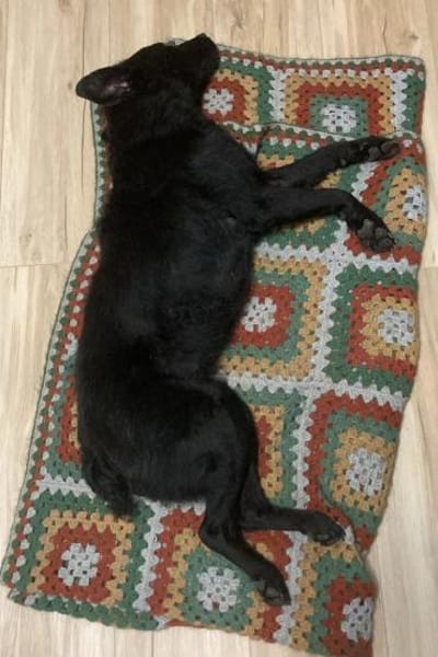 bezaubernde ASYA💖wartet in 36179 Bebra