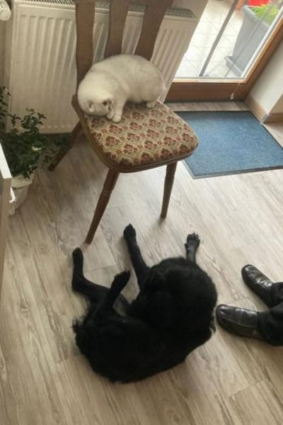 bezaubernde ASYA💖wartet in 36179 Bebra