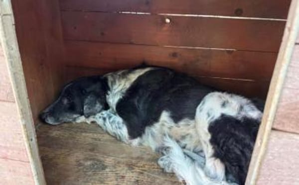 Kannst du Sina wieder Hoffnung geben?