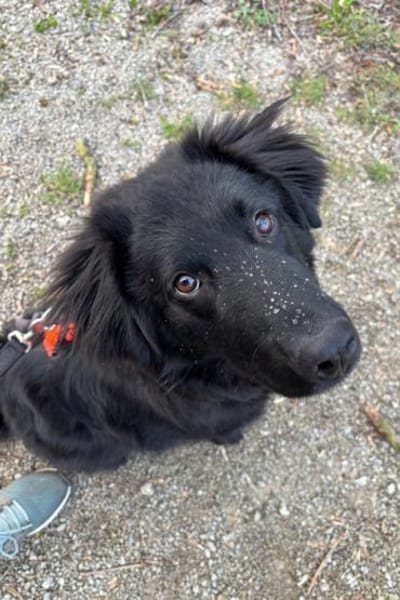 JUNAKwartet bereits in 37130 Gleichen