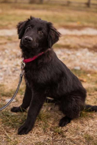 JUNAKwartet bereits in 37130 Gleichen