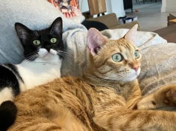 Martina - Das Schicksal will es anders