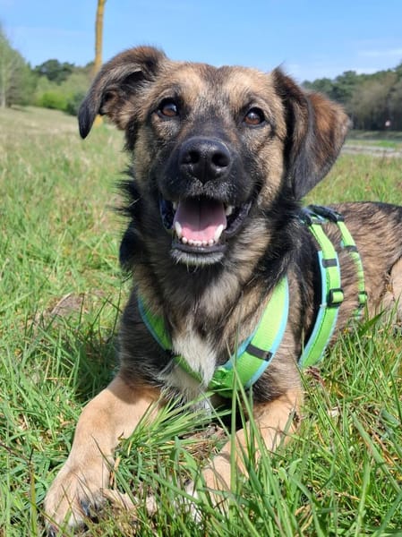 Pino - ist bereit die Welt zu entdecken