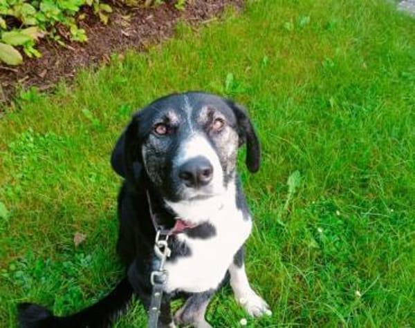 Padmé sucht ihre Traumfamilie