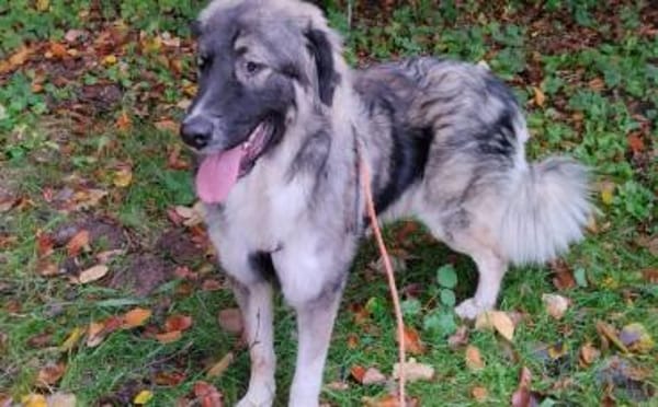 Balthasar - wer sonst?!